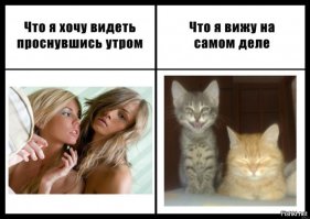 Ожидания и реальность