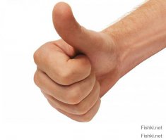 "Вовка в тридевятом царстве"