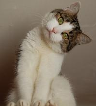 Рая - подключись!!!