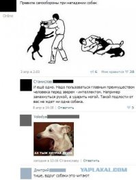 Что делать если вы не умеете драться