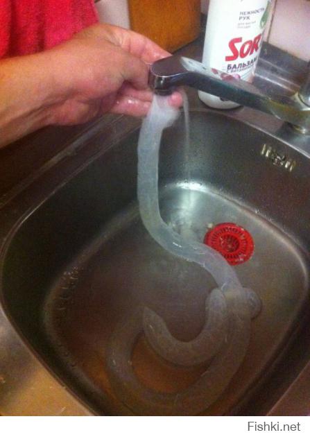 не благодари