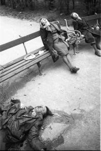 они покончили жизнь самоубийством из за страха расправы советской армии, в Вене, но могу ошибиться