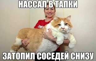 Смешные комментарии из социальных сетей 07.03.15