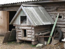 Российская версия