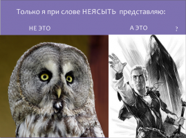  Рыжая сова
