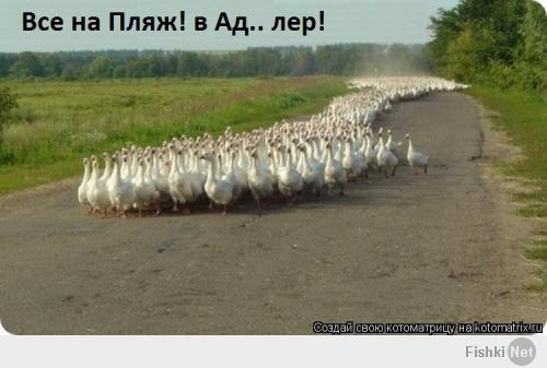 Подборка видео от 08.05.2014