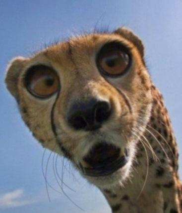 Подборка видео от 11.12.2013