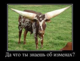 ПИСЬМО ОТ ЖЕНЫ ЛЮБОВНИЦЕ МУЖА