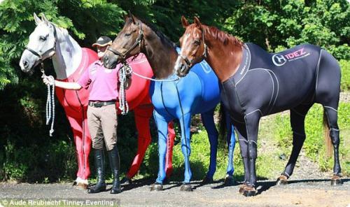 Это австралийская обтягивающая одежда для олимпийских лошадей.
Снимает мышечное напряжение после нагрузок.