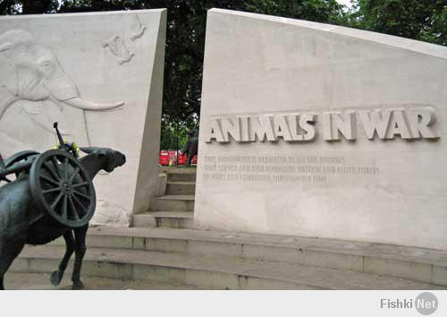 Памятник животным, использовавшимся в войнах 
Лондон, Парк Лейн. Открыт 24 ноября 2004 года. 
Включает четыре бронзовые скульптуры - двух мулов, лошадь и собаку и 20-метровую каменную стену с барельефами разных животных. 
Автор - Дэвид Бэкхаус (David Backhouse) 
Фотки из интернета.