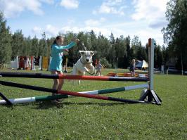 Ох уж эти детки! 