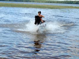 Ох уж эти детки! 