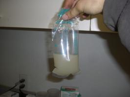  Интересные факты из жизни