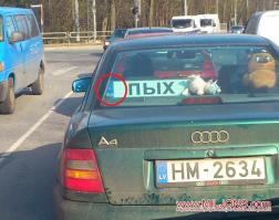 Приколы из Латвии