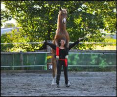 "Используйте фотошоп грамотно, и вы всегда будете на коне!"
--------
Точно, НА коне?