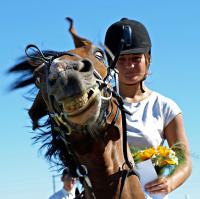 Ну и классика