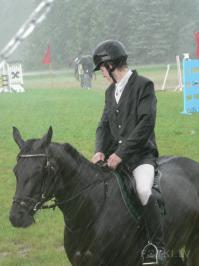 Животные под дождем  