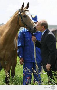 Ну и фтему, кто-то тут выставлял...