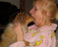 Всемирный день поцелуев