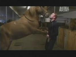 Милейшие поцелуи животных