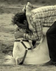 Милейшие поцелуи животных