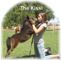 Милейшие поцелуи животных