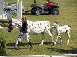 Не уникальный, но тоже прикольный. Снял в Риге