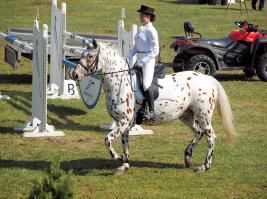 Уникальный окрас