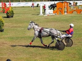 У нас тоже такие есть