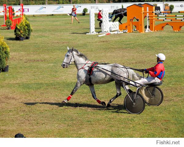 У нас тоже такие есть