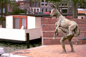 Сострадание меньшим братьям