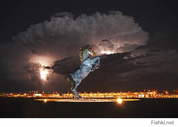 Лошадь в денверском аэропорту