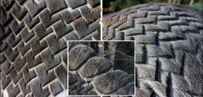 Где-то в России.
Тётька говорит, что где-то 4,5 часа работы...