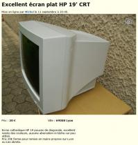 У меня на работе когда-то монитор был HP 19", примерно такой, вот на нем я себе реально ужин подогревал.