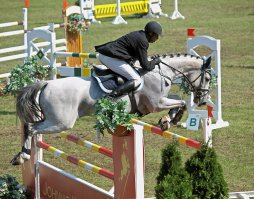 Я и без HDR подобное снимал. И без RAWа.
С тётенькой щяс не найду, но вот есть еще более сложный вариант. Как видите, и светло-серая лошадь - на солнце и лицо черного дяденьки - в тени, но даже в таком экстриме (не считая еще того, что снято олимпусом, славящимся узостью динамического диаппазона) все нормально видно.
ЗЫ дядька реально черный. Это спортсмен из Беларуси Ибрагим Васьков.