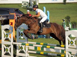 Предыдущий фотик ни разу не чистил (пробег тысяч 250 кадров, потом затвор заедать начал, но снимать можно до сих пор). Ибо Олимпус. Единственный бренд, у которого встроенная автоочистка реально работает. Причем, пользуюсь и в сырости и в пыли (конный спорт же! ) Таки бывает, что точки появляются, но постепенно исчезают. Не парюсь...
Кстати, да, заметил, одним из первых вопросов в форумах у тех, кто пересел с Олимпуса на нормальные фотики, является, как раз, "а как матрицу чистить?" :)