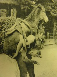 Я думаю, тебе нужна моя помощь!