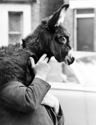 Я думаю, тебе нужна моя помощь!