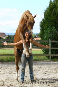 "Лошадь со своего плеча" понравилась