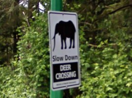 Осьторожно, олени пересекают дорогу