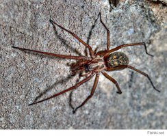 Тут не ставились какие-то специальные цели, HDR кагбы и не нужен, просто саму технологию пробовал... 
Правда, с одним отличием от каконiчной HDRi - здесь исходные шоты делались с одного RAWа. Но тут как с "шашечки или ехать" - ДД отобразил бОльший, чем простой JPEG, значит HDR(i)