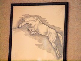 У нас тётенька конюхом работала, тоже точками ручкой картинки рисовала