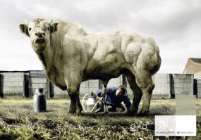 ... ну и знаменитая приевшаяся уже картинка бельгийца Коэн Демунка