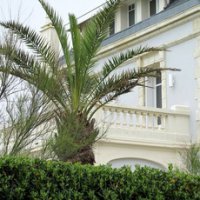 Дом

Геннадий Тимченко

Предприниматель, друг Путина

Адрес: Франция, 9 avenue General Mac Croskey, 64200, Biarritz

Замок с видом на океан на участке площадью 2610 м².