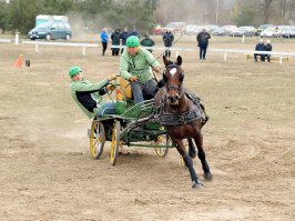 На лошадях я ездить умею... Правда, на пассажирских, а не грузовых... 
Кстати, у спортивной телеги есть три педали. И все три - тормоза  (используются для управляемого заноса - у них повороты дико крутые) И есть еще и ручник, ага :)