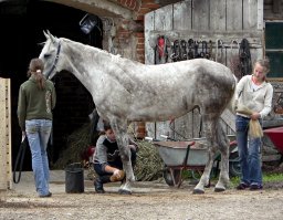 Не знаю, чем, но мне вот эта картинка нравится...