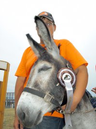 Фотограф-дауншифтер оставил сферу моды и снимает животных в природе