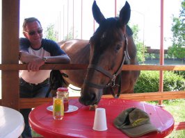 88 животных, требующих, чтобы их пустили домой прямо сейчас 