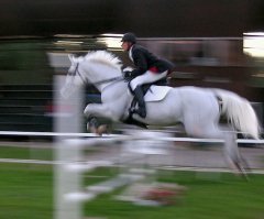 Вот с проводкой. Выдержка - 1/15 секунды. Снято мыльницей.
Разумеется, лошадь - не мотоцикл, много степеней свободы, посему, сделать на такой выдержке всю лошадь четкой невозможно. Снимал всадника :)