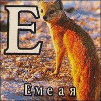 На фоткуе емеая